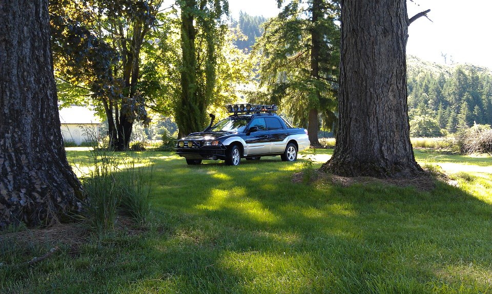 Good pic of baja 2.jpg