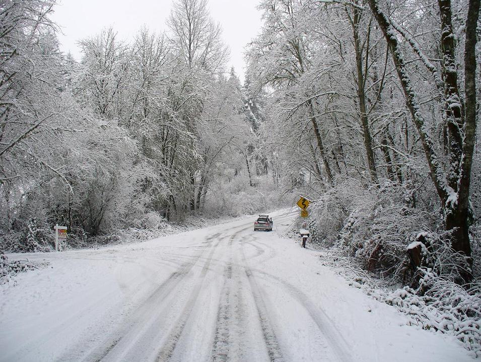 funny pics 00434.JPG